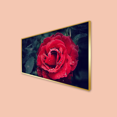 Red Rose Canvas Floating Frame Wall Painting