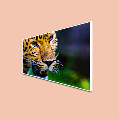 Jaguar Canvas Floating Frame Wall Painting