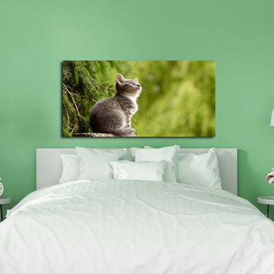 Lovely Cat Canvas Wall Painting