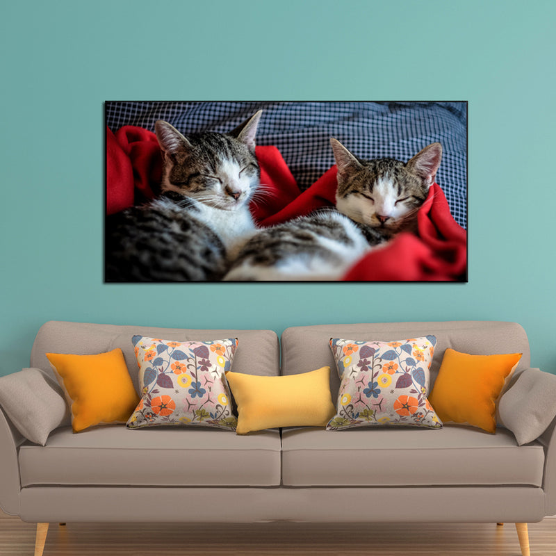 Cute Kittens Sleeping Together Canvas Floating Frame Wall Painting