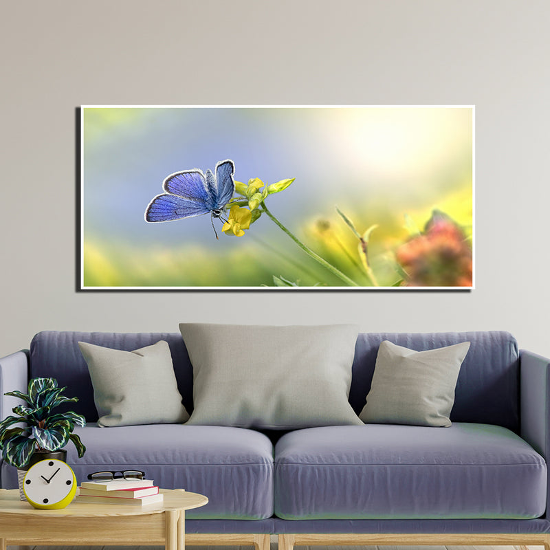 Blue Butterfly Sitting On Flower Floating Frame Canvas Wall Painting
