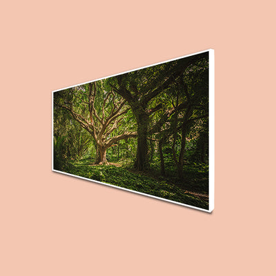 Dark Forest Canvas Floating Frame Wall Painting