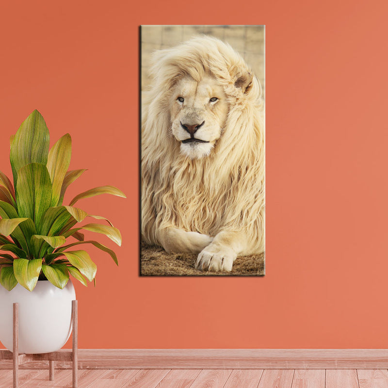 A Majestic White Lion Sitting Canvas Wall Painting