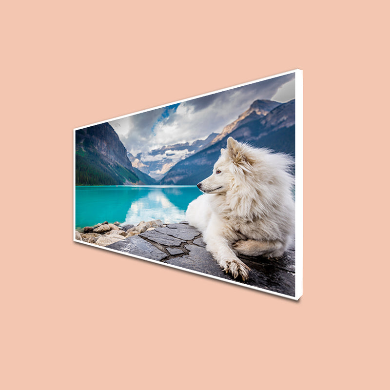 A White Dog Sitting On A Rock Canvas Floating Frame Wall Painting