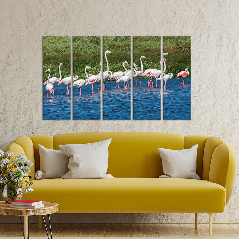 A Group of Flamingos In Water Canvas Wall Painting - With 5 Panel
