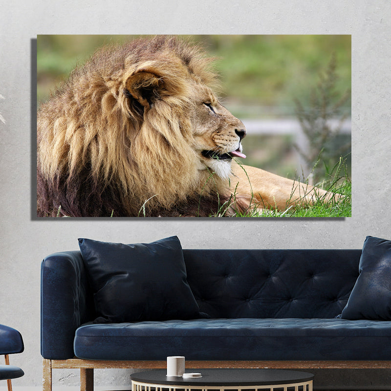 Barbary Lion Canvas Wall Painting