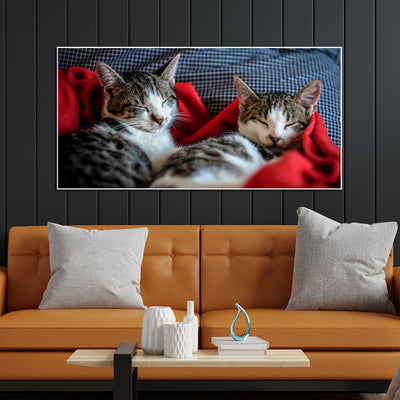 Cute Kittens Sleeping Together Canvas Floating Frame Wall Painting