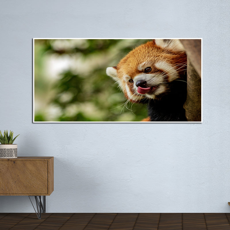 Red Panda  Canvas Floating Frame Wall Painting
