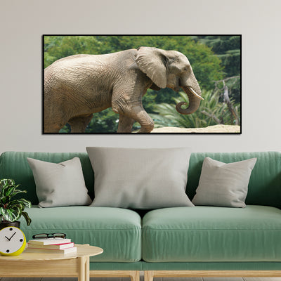 Elephant Canvas Floating Frame Wall Painting