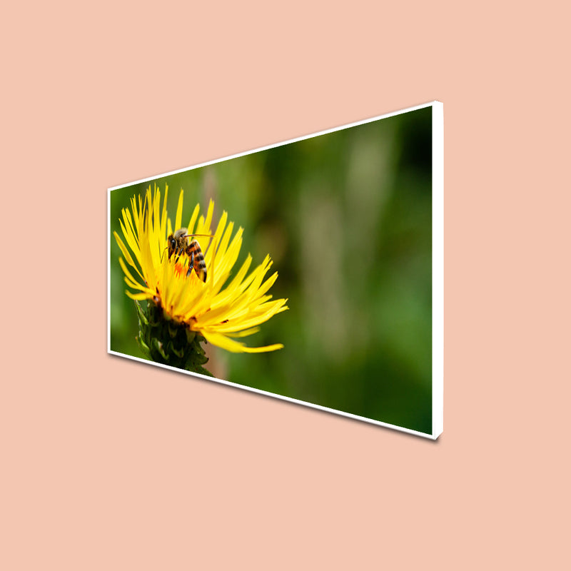 Bee On Sun Flower Canvas Floating Frame Wall Painting