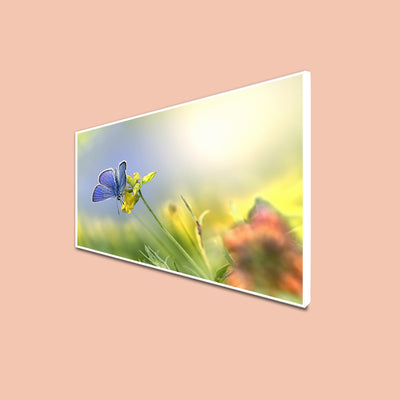 Blue Butterfly Sitting On Flower Floating Frame Canvas Wall Painting