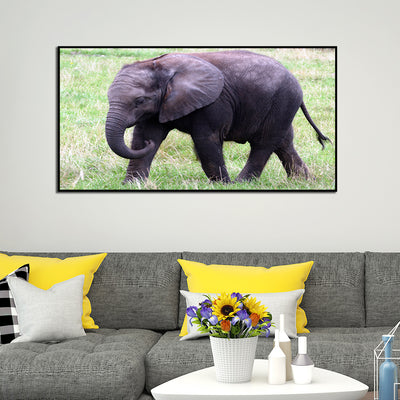 Baby Elephant Canvas Floating Frame Wall Painting