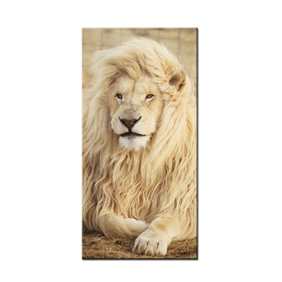 A Majestic White Lion Sitting Canvas Wall Painting