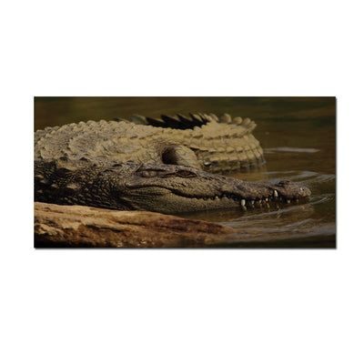 Crocodile In Water Canvas Wall Painting