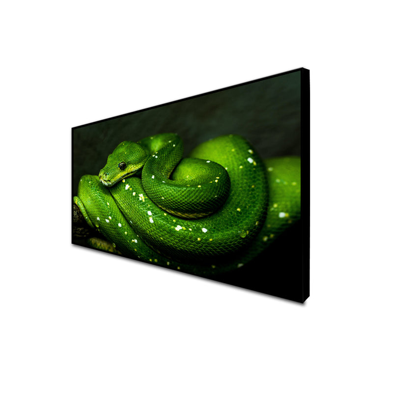 Green Cobra Snake Floating Frame Canvas Wall Painting