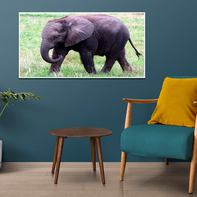 Baby Elephant Canvas Floating Frame Wall Painting