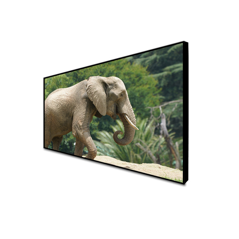 Elephant Canvas Floating Frame Wall Painting