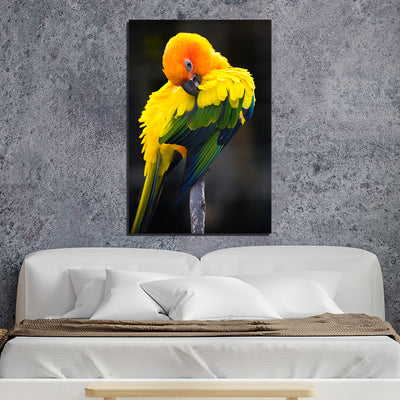 Beautiful Yellow Bird Print On Canvas Wall Painting