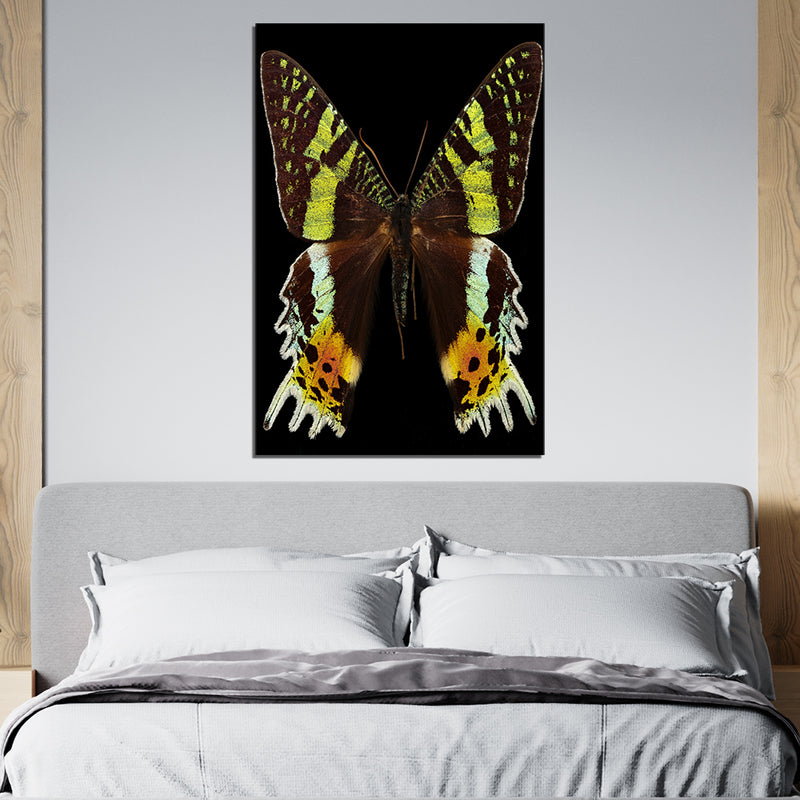 Butterfly Print On Canvas Wall Painting