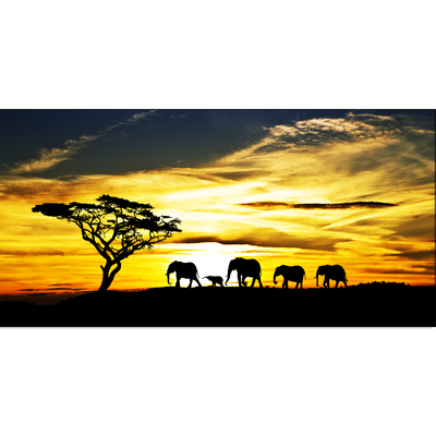 Beautiful View of Elephant Family Canvas Wall Painting