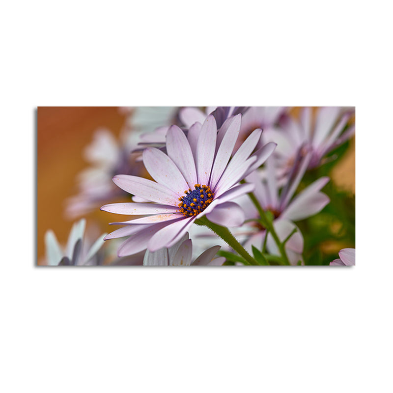 Daisy Flower Canvas Wall Painting