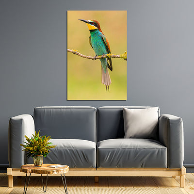 Bee Eater Birds Print On Canvas Wall Painting