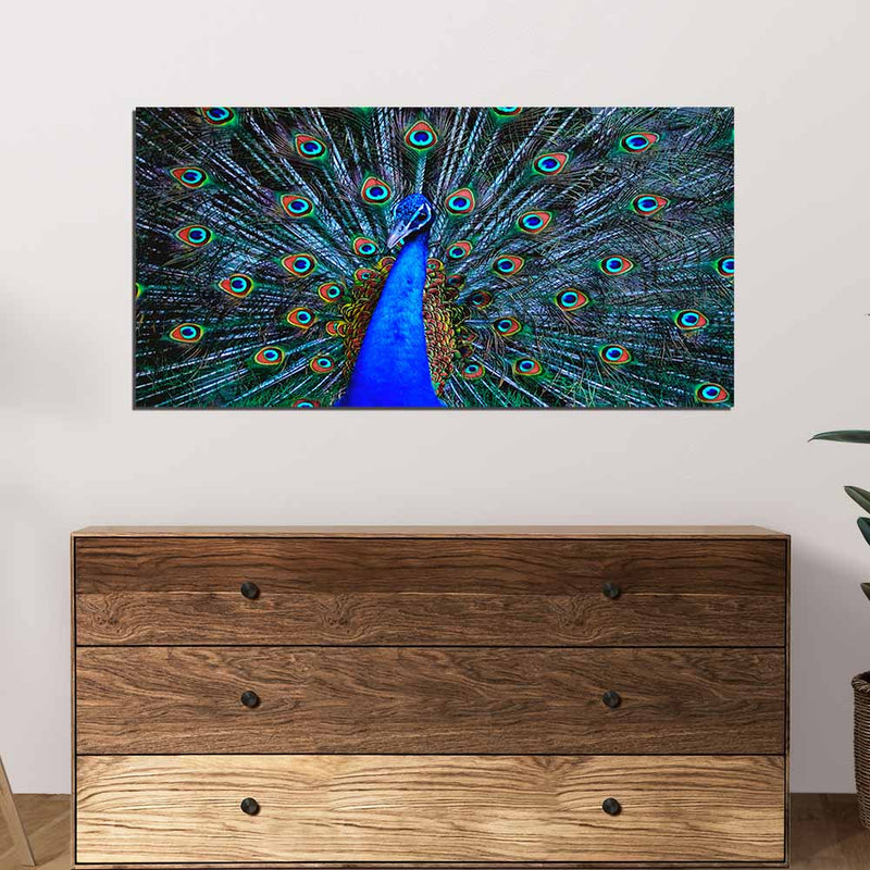Beautiful Peacock Image Canvas Wall Painting