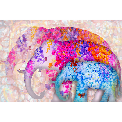 Colorful Elephant Abstract Digitally Printed Wallpaper
