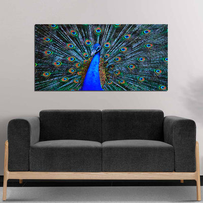 Beautiful Peacock Image Canvas Wall Painting