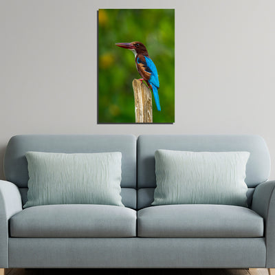 Kingfisher Bird Canvas Print Wall Painting