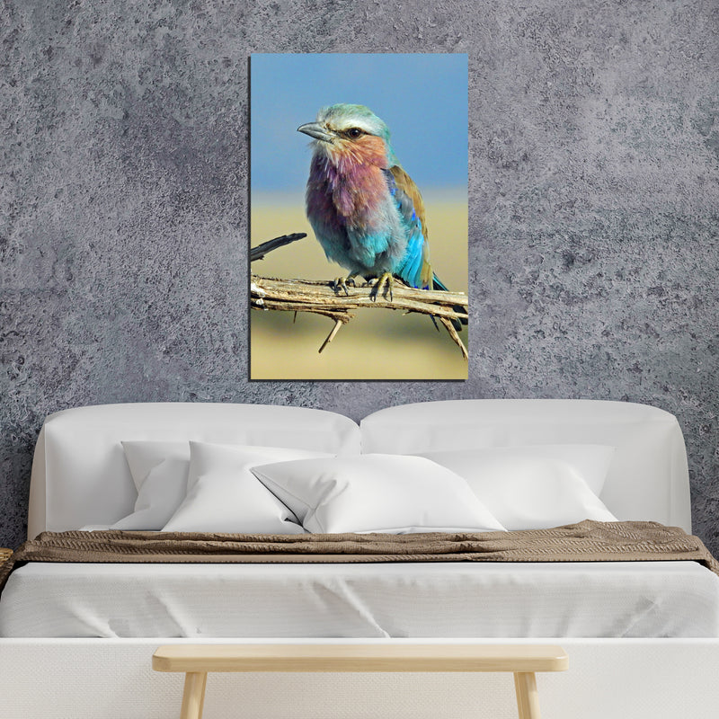 lilac breasted roller color palette On Canvas Wall Painting