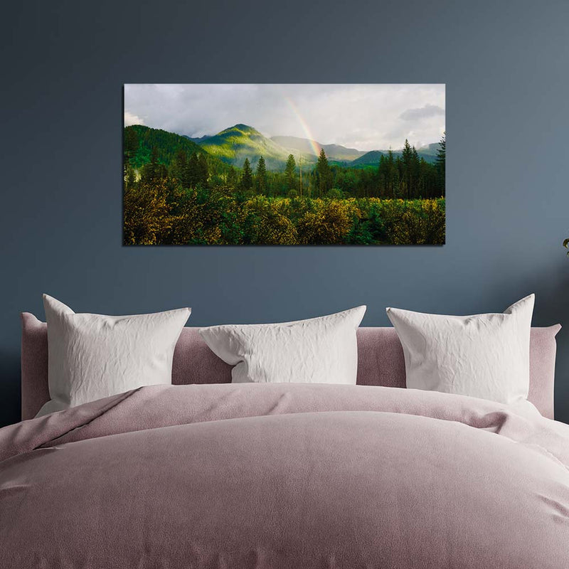 Beautiful View And Rainbow Canvas Wall Painting