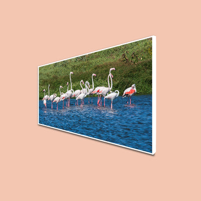 A Group of Flamingos In Water Canvas Floating Frame Wall Painting