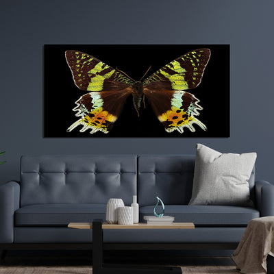 Beautiful Multicolor Butterfly On Canvas Wall Painting