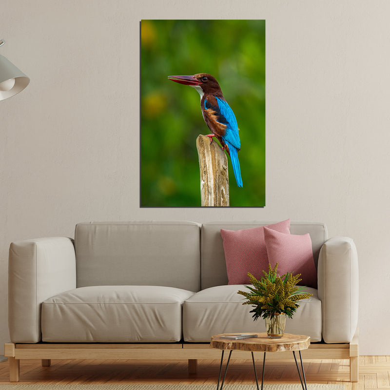 Kingfisher Bird Canvas Print Wall Painting