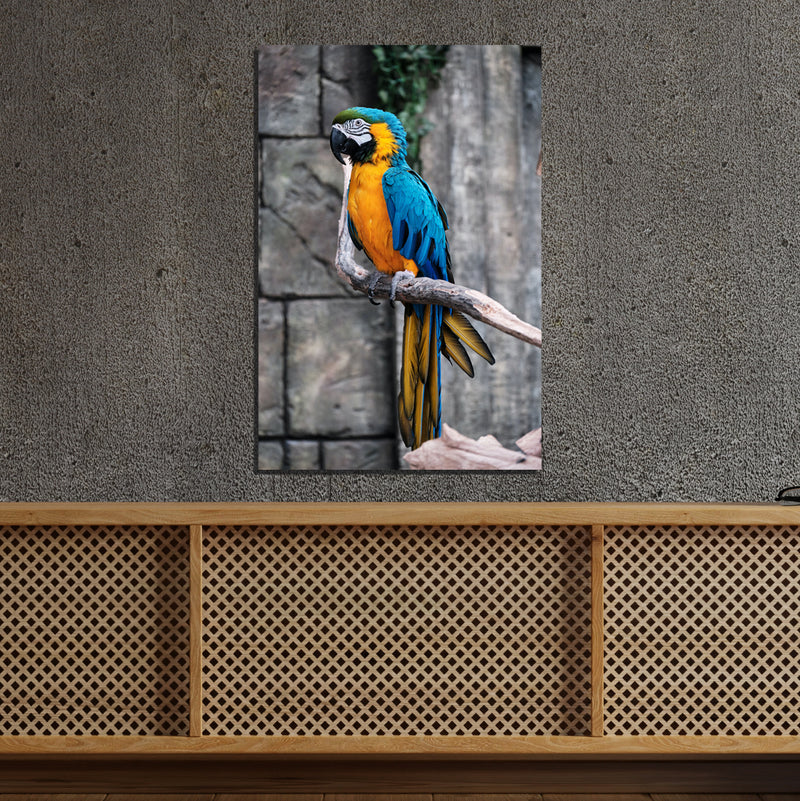 Macaw Bird On Canvas Wall Painting