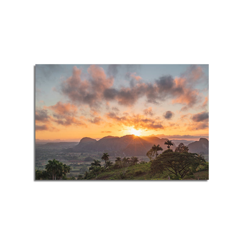 Green Grass Field & Sunset View Print On Canvas Wall Painting