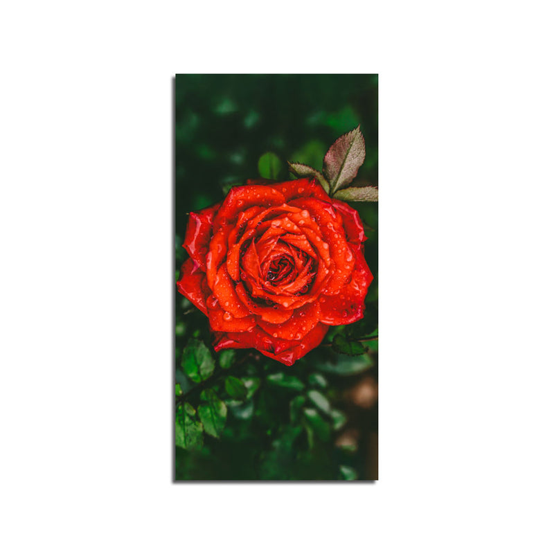 Beautiful Red Rose Print On Canvas Wall Painting