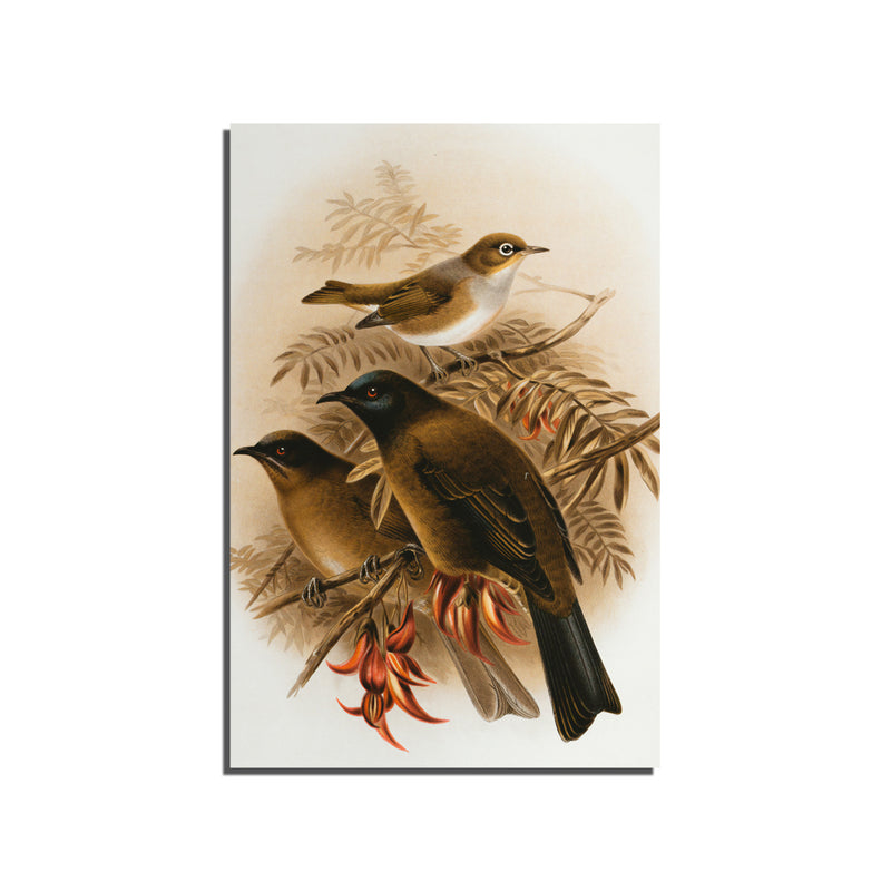 Artistic Birds Canvas Wall Painting