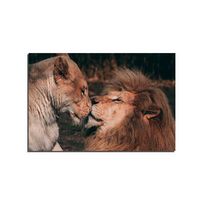 Lion Couple Kissing scene in forest On Canvas Wall Painting