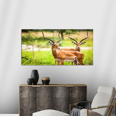 Couple Deer Canvas Wall Painting