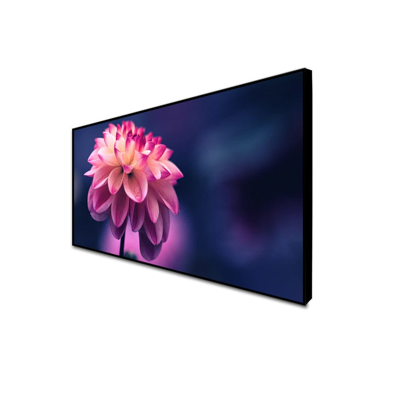 DecorGlance CANVAS PRINT BLACK FLOATING FRAME / (48x24) Inch / (121x60) Cm Pink Dahlia Flower Canvas Floating Frame Wall Painting