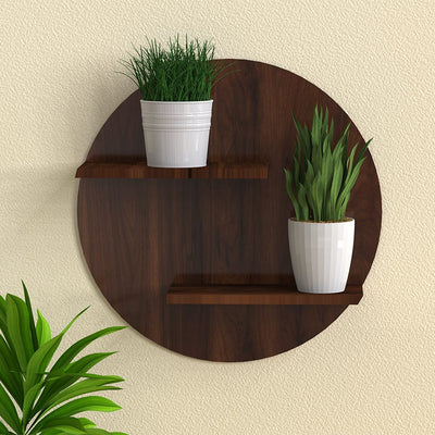 DecorGlance Plant Stands Walnut Finish Wooden Round Shaped Wall Hanging Planter Stand