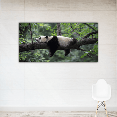 decorglance Posters, Prints, & Visual Artwork Sleeping Panda Canvas Wall Painting