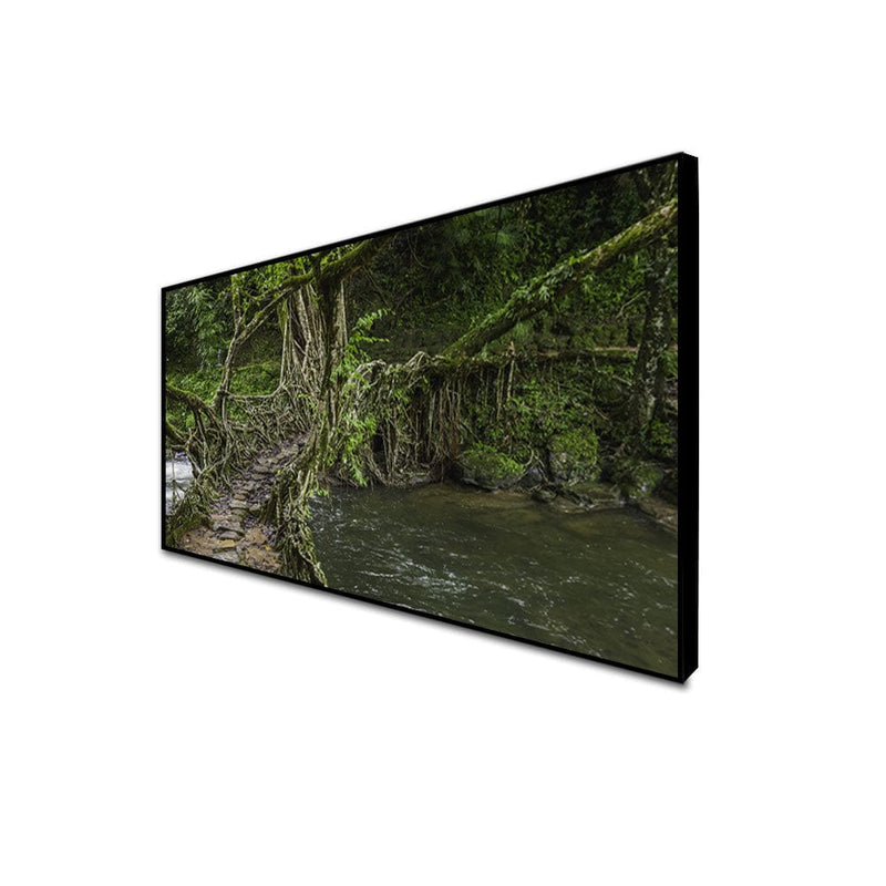 DecorGlance Posters, Prints, & Visual Artwork CANVAS PRINT BLACK FLOATING FRAME / (48x24) Inch / (121x60) Cm Tree Bridge In Forest Canvas Floating Frame Wall Painting