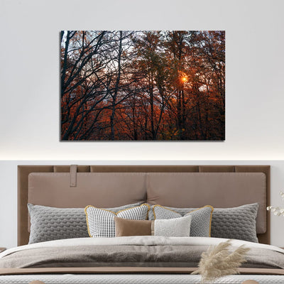 DecorGlance Rectangle painting Sunset View In Forest Canvas  Wall Painting