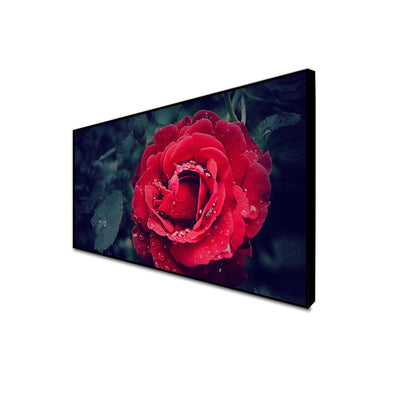 DecorGlance CANVAS PRINT BLACK FLOATING FRAME / (48x24) Inch / (121x60) Cm Red Rose Canvas Floating Frame Wall Painting