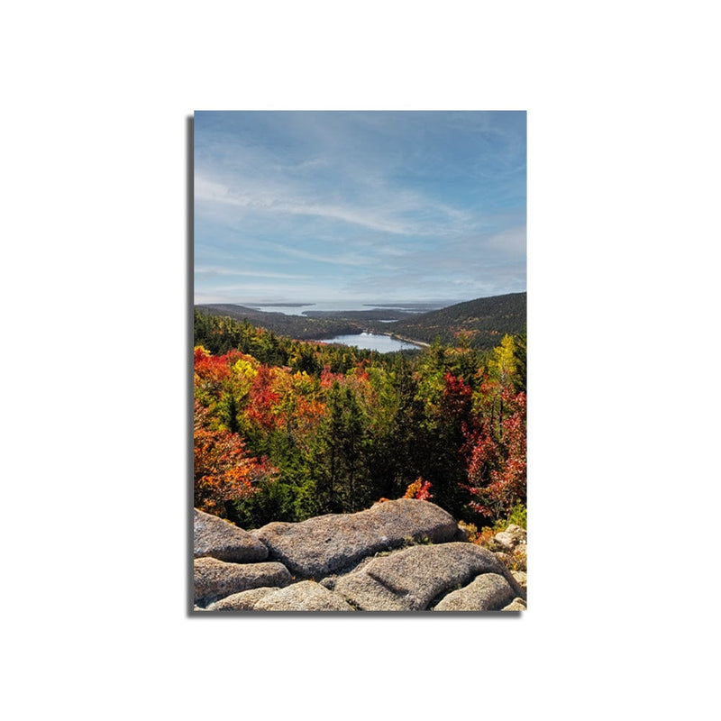 DecorGlance Shrubland View Print On Canvas Wall Painting