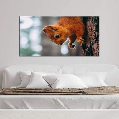DecorGlance Squirrel Canvas Wall Painting