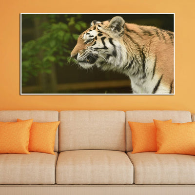 DecorGlance The Siberian Tiger Canvas Floating Frame Wall Painting